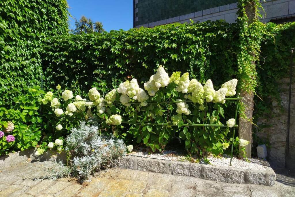 O Apartamento Do Xanza, Ideal Para Parejas Adaptado Movilidad Reducida Meis Exterior photo